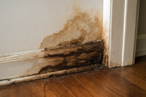 Wood Trim Water Damage Restoration